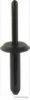 BMW 2151750 Blind Rivet